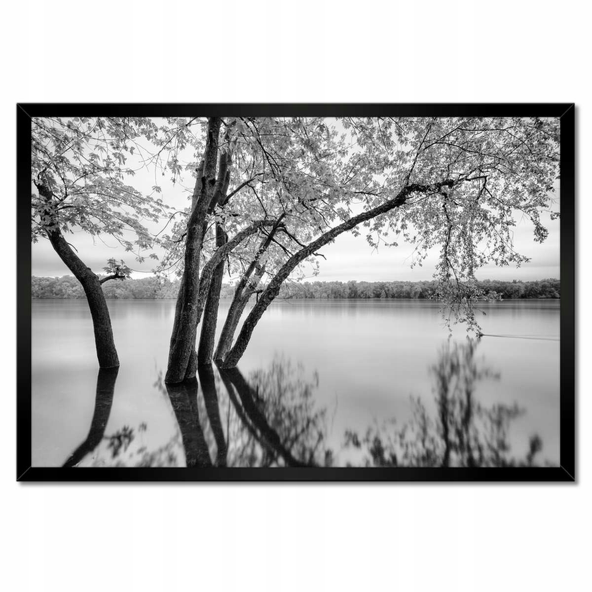 Plakáty v rámu 60x40 Stromy Les Jezero