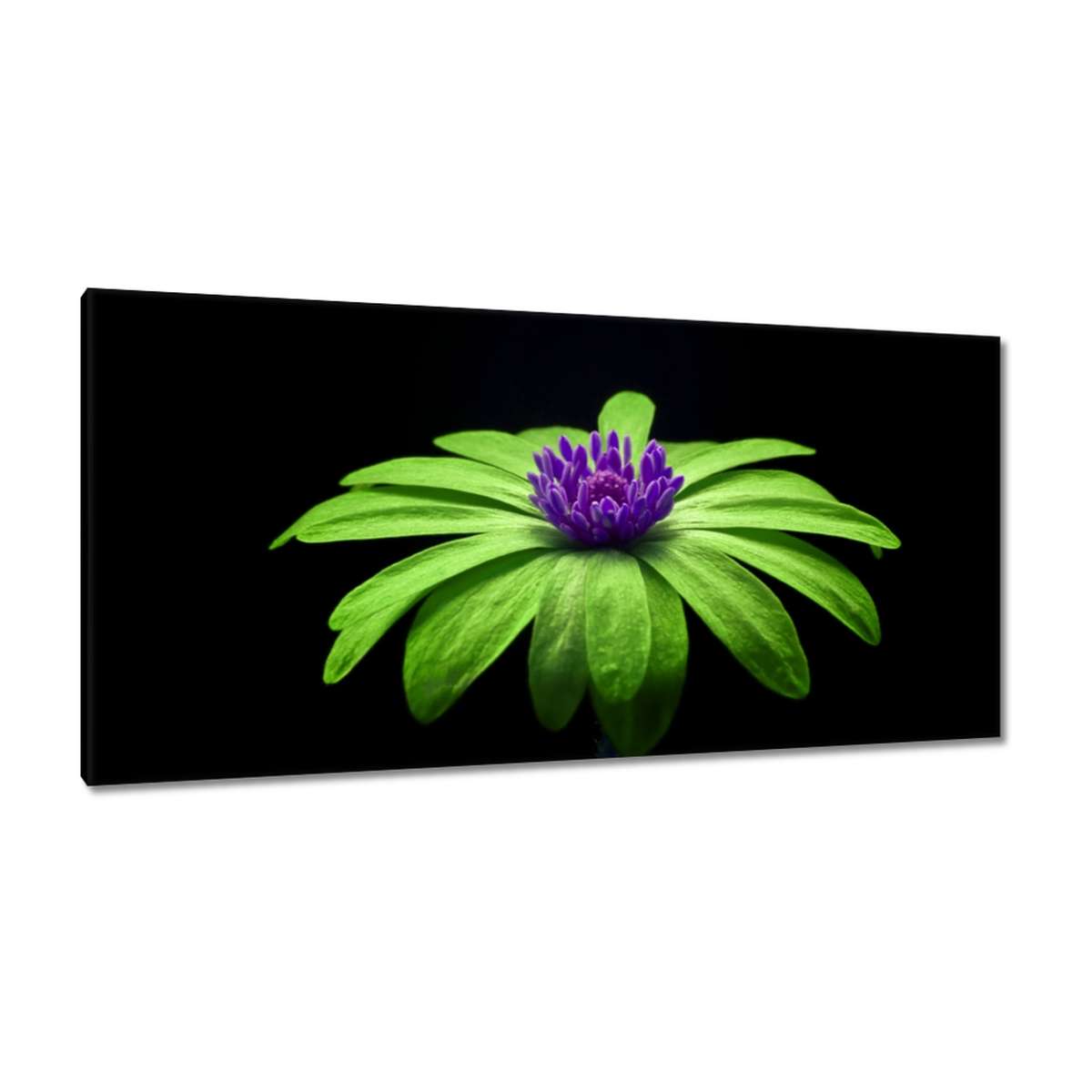 Obrazy 115x55 Limetkové vločky