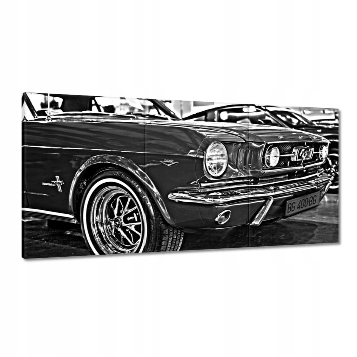 Obrazy 180x90 Fotografia masky Mustanga