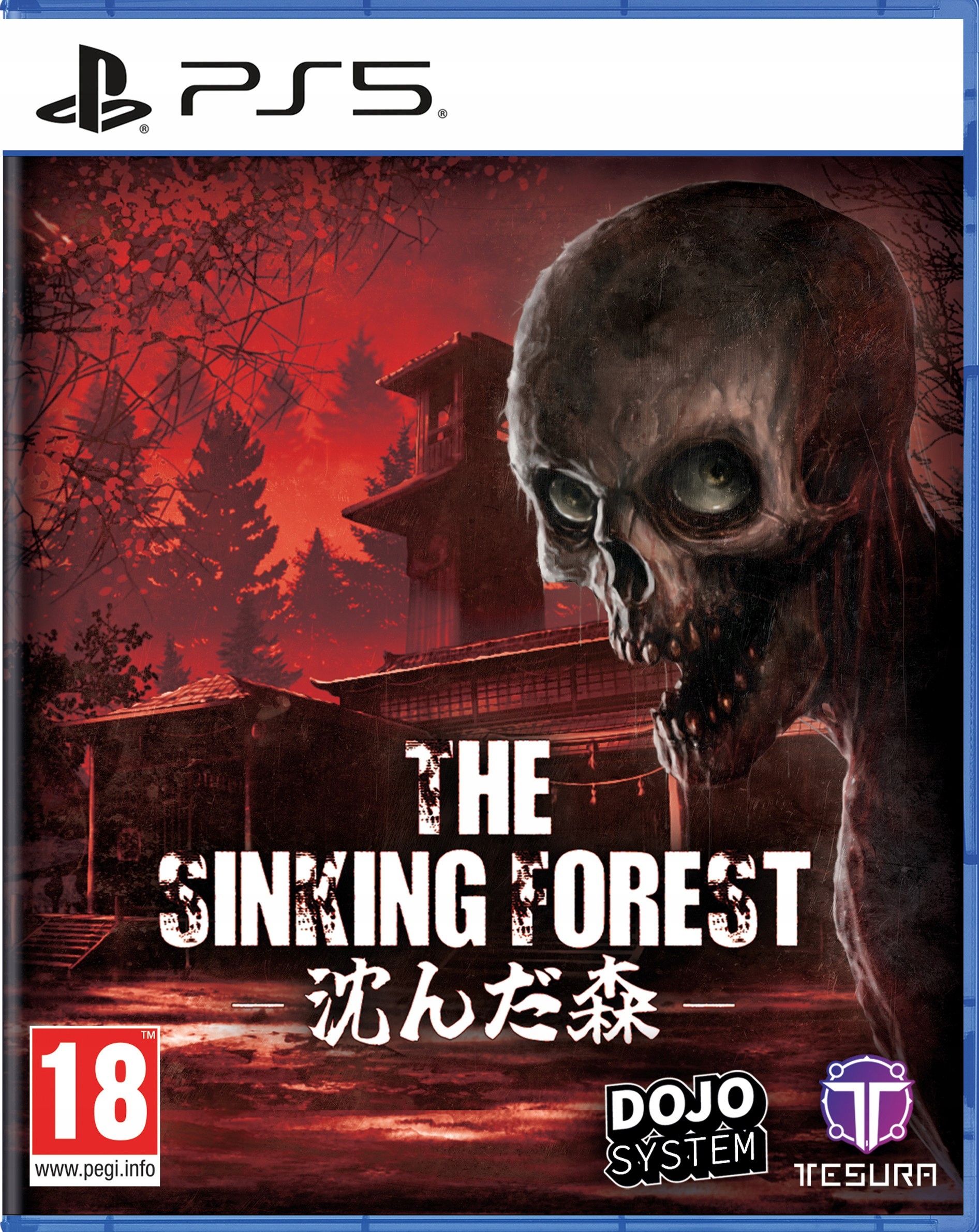 The Sinking Forest PlayStation 5 (PS5) pudełkowa