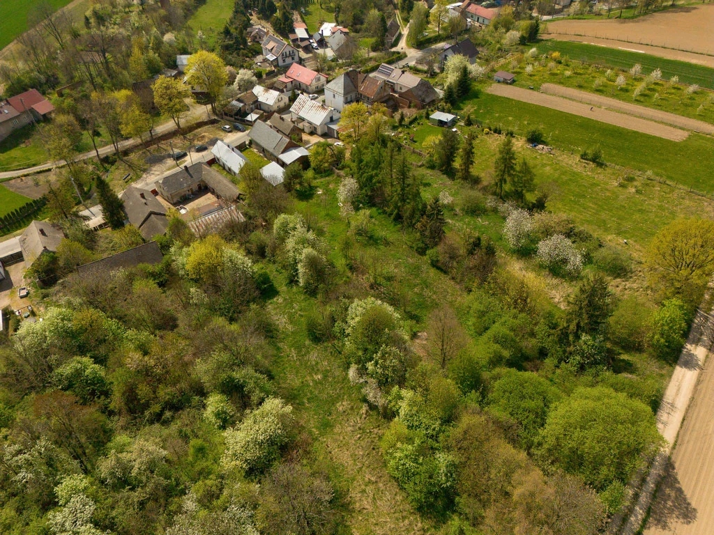 Dom, Lisięcice, Głubczyce, Głubczycki, 264 m²