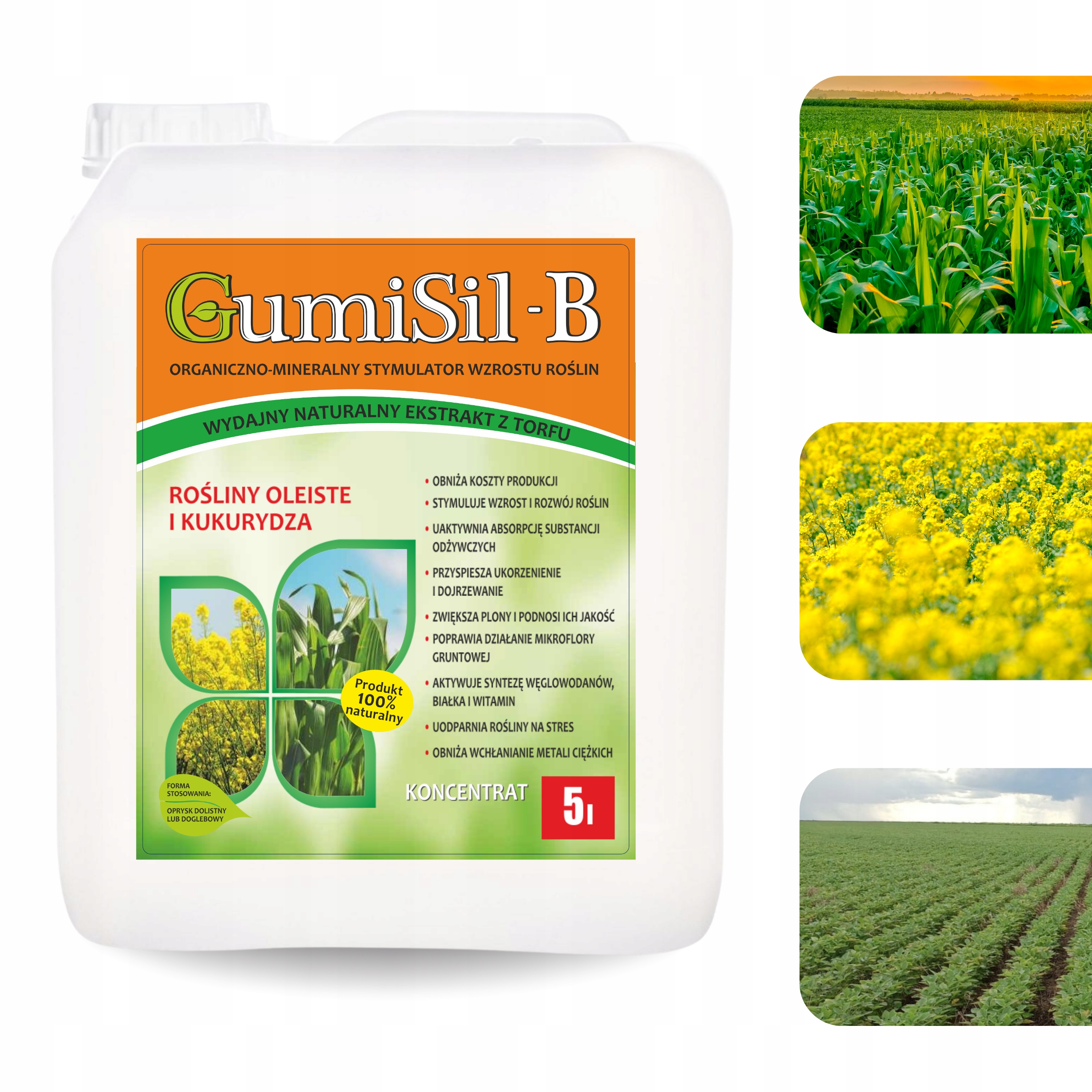 Biostimulátor na repka, kukuricu a olejnaté rastliny GumiSil-B 5L