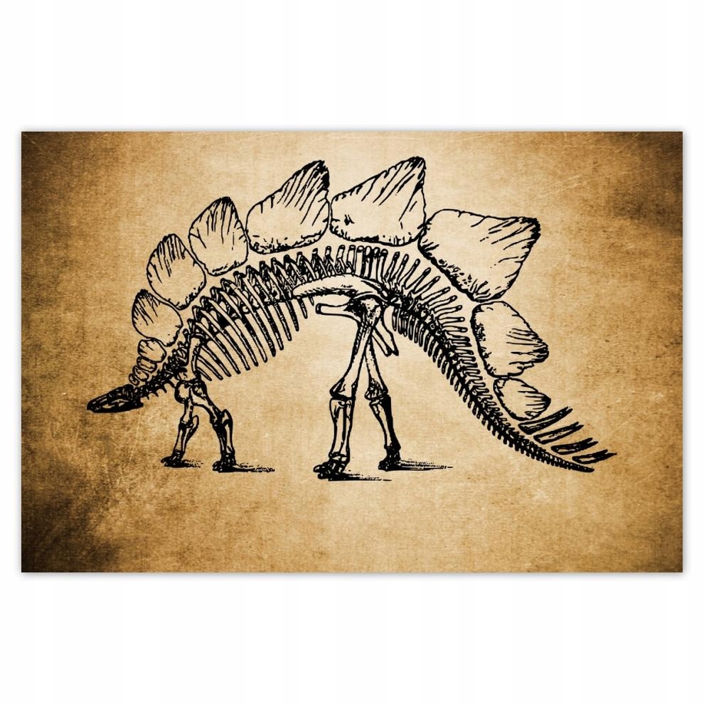 

Plakat 93x62 Dinozaur Prehistoria Dino
