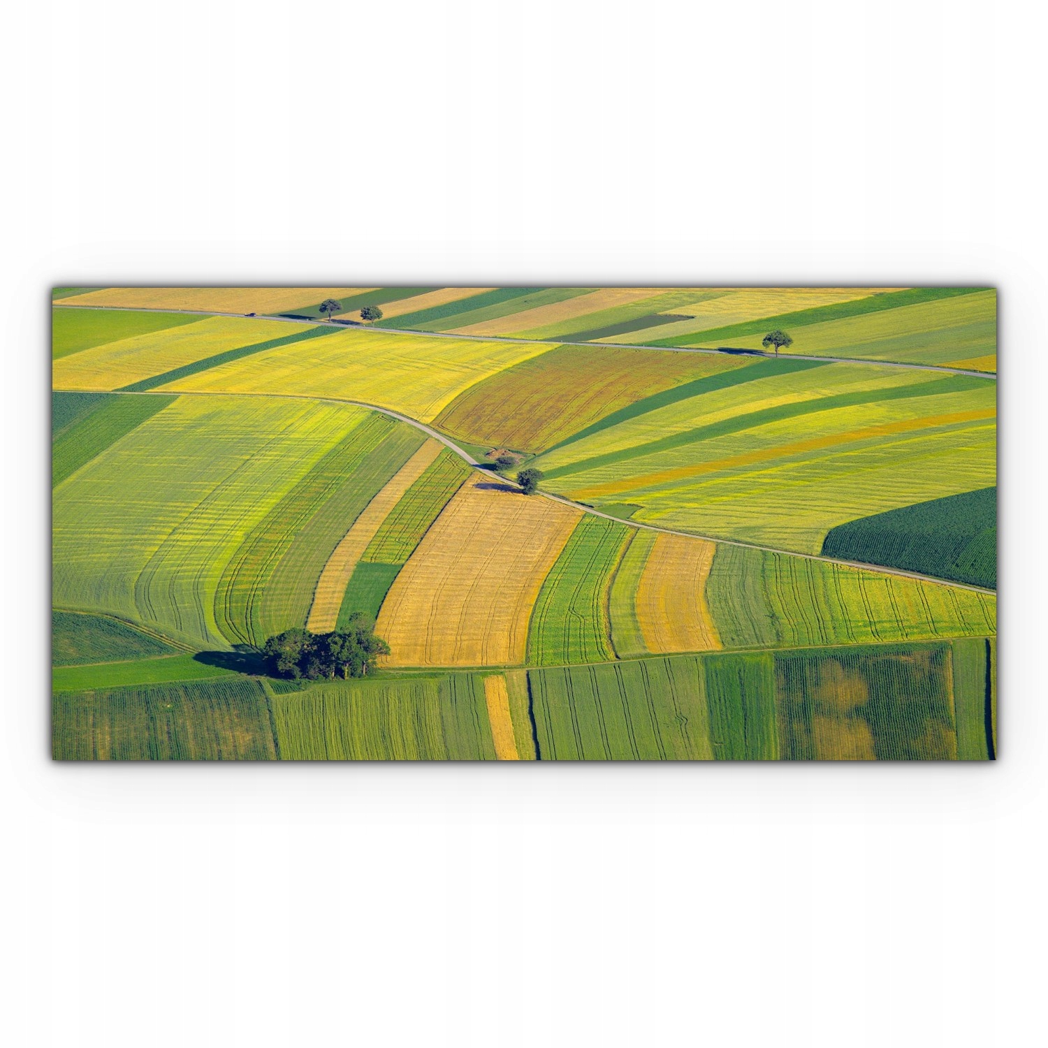 

foto-obraz na płótnie 140x70 Farma Pola Krajobraz