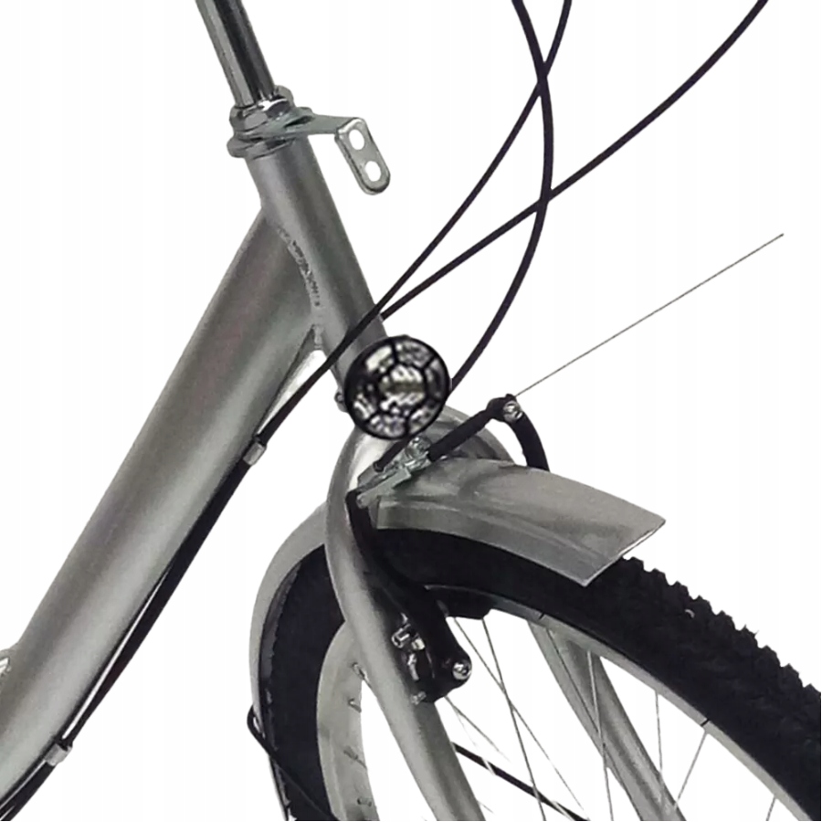 24-CALOWY 6-BIEGOWY ROWER TRÓJKOŁOWY DLA DOROSŁYCH SREBRNY ZE ŚWIATŁAMI Rozmiar koła (