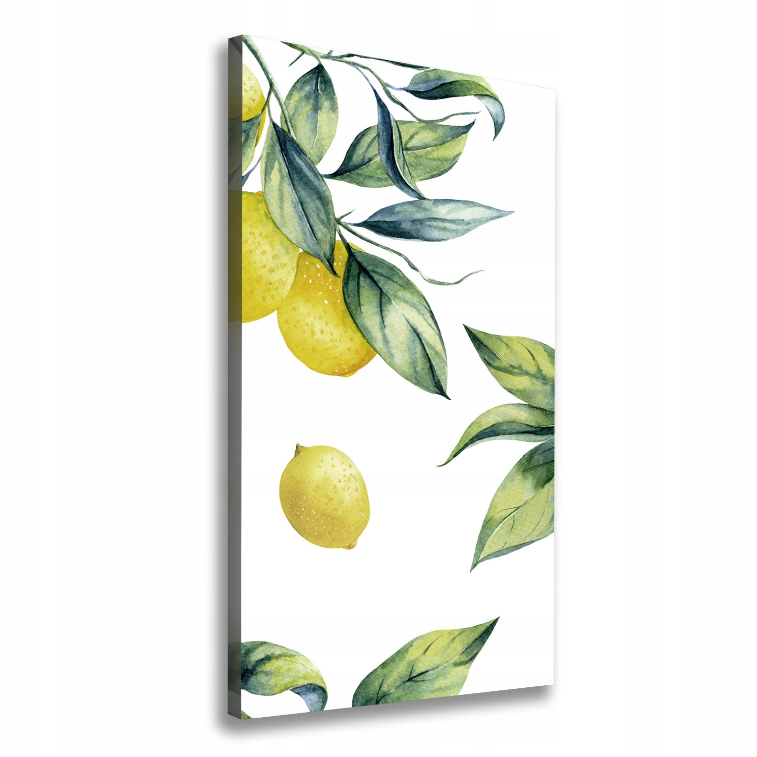 

Nowoczesny obraz canvas na ramie Cytryny 60x120 cm