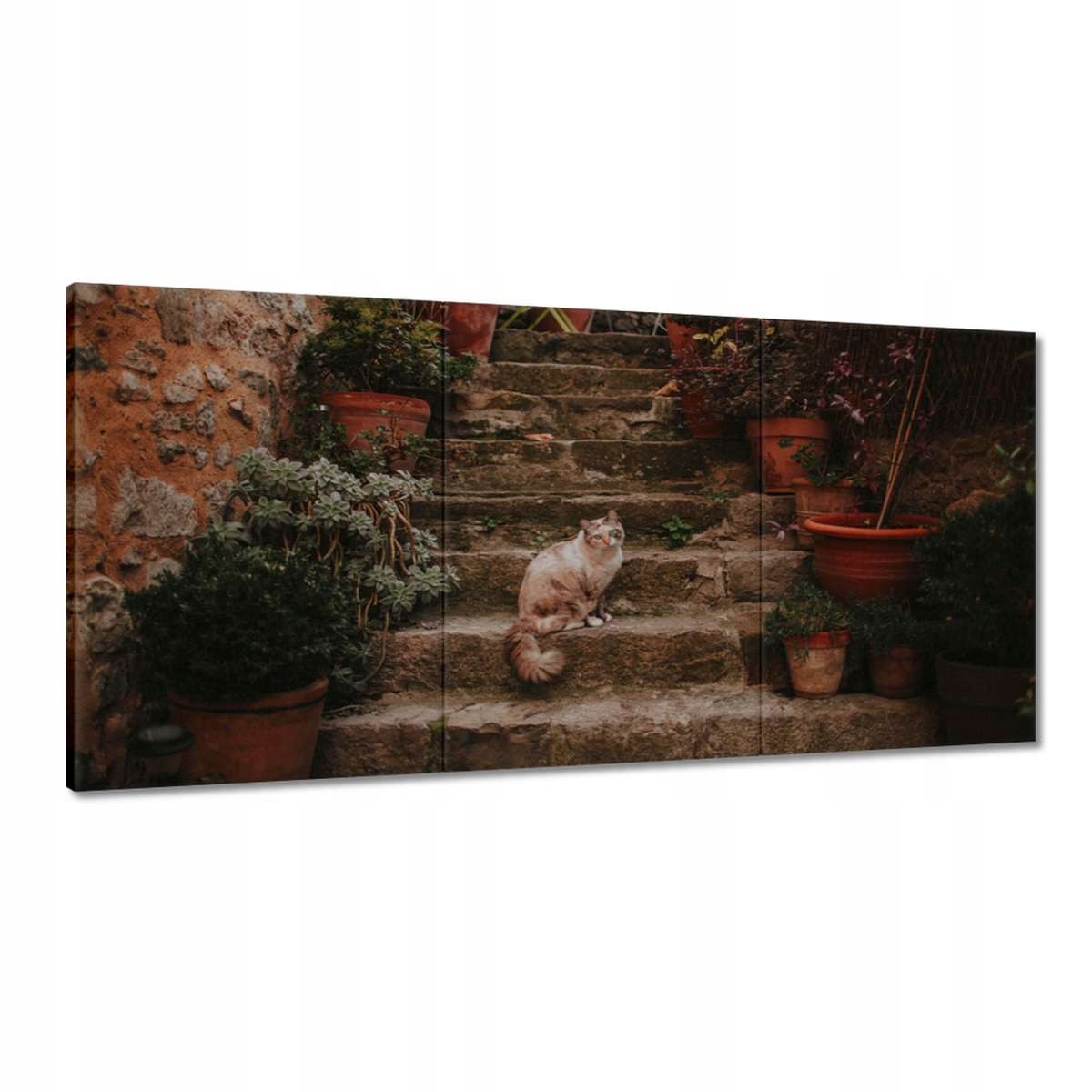 Obrazy 180x90 Mačka Mačiatka Kicia