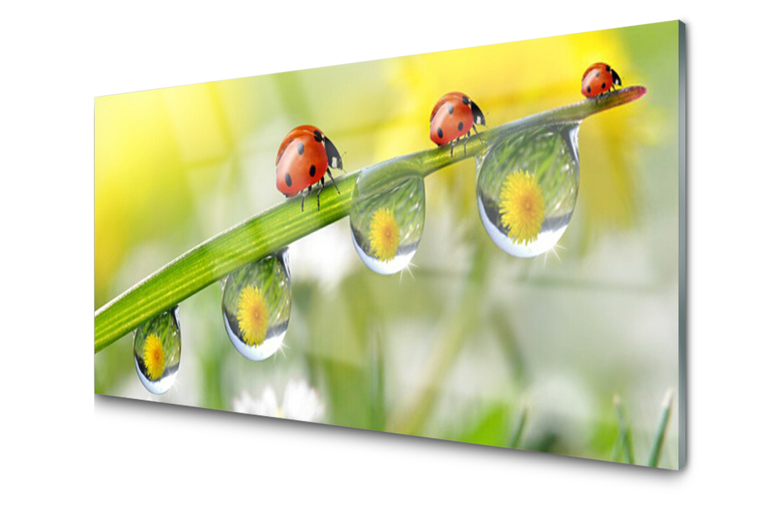 

Panel szklany Płytka Biedronki Krople 140x70