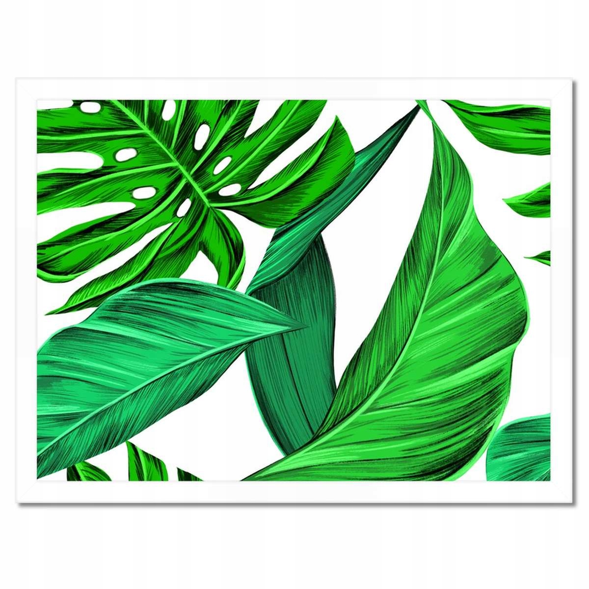 Plakáty v rámu 40x30 Šťavnatá Monstera Tropiki