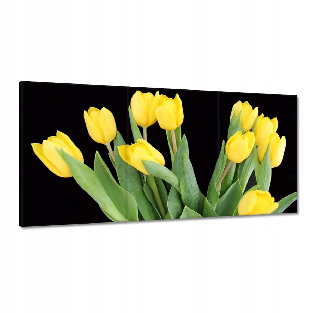 Obrazy 180x90 Žlté tulipány