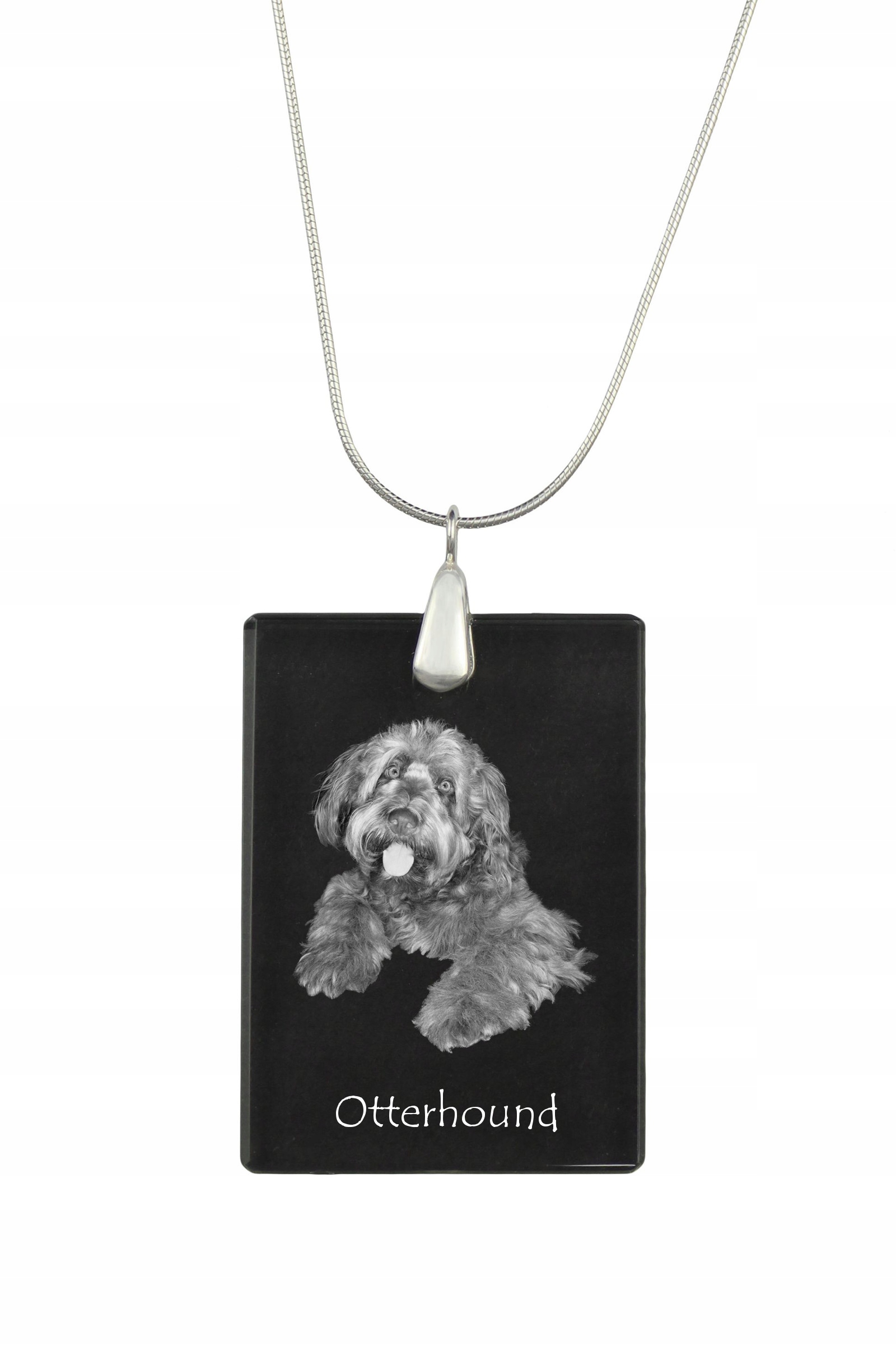 Otterhound stříbrný náhrdelník s křišťálovým přívěskem se psem s fotografií
