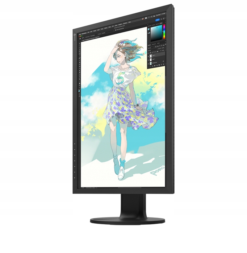 Eizo ColorEdge CS2400R grafický monitor 24" Wuxga sRGB 100 % Dp