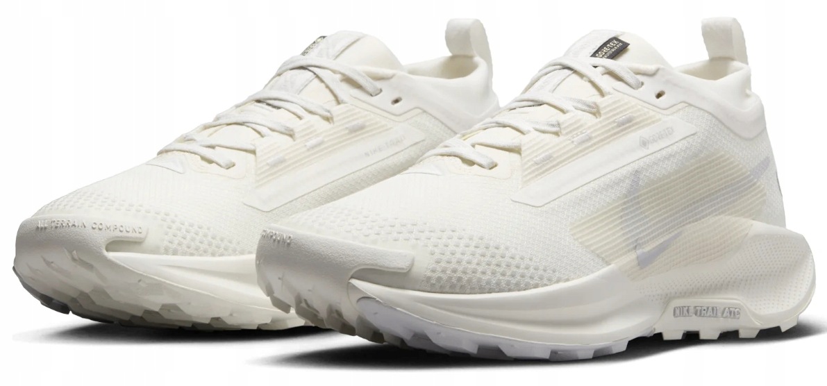 Boty Nike Pegasus Trail 5 Gore-tex pro běhání v terénu Unisex FQ0912-102 43