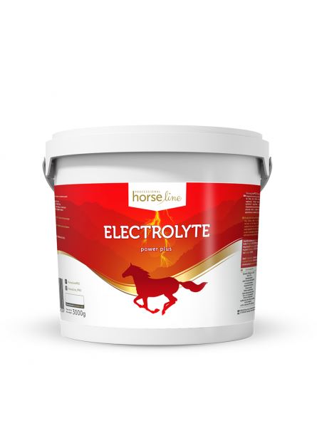 Elektrolity dla koni Power Plus HORSELINEPRO 3000g