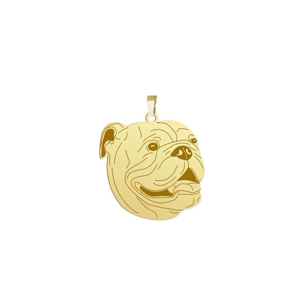 Zlatý přívěsek se psem Anglický buldoček 925 Šperky Dárek Gravírování