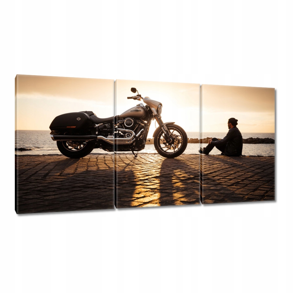 

Obrazy 120x60 Harley Davidson Motocykl