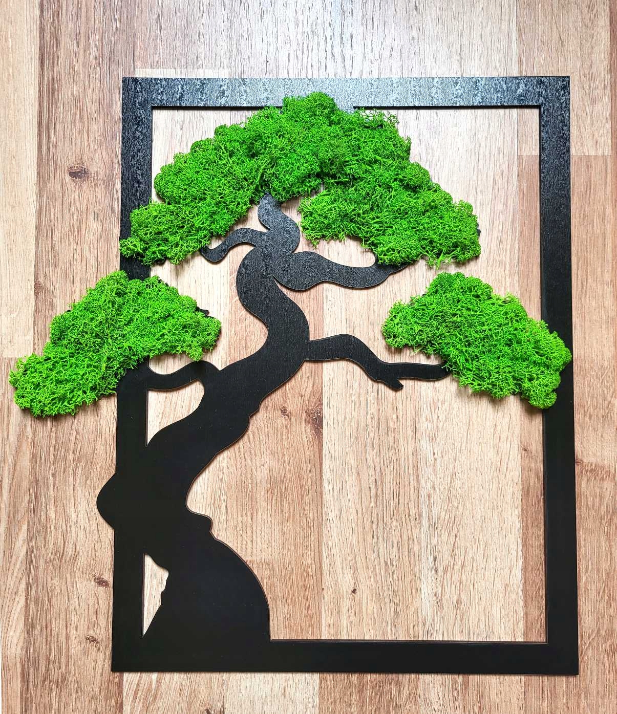 DRZEWKO SZCZĘŚCIA chrobotek MECH BONSAI na prezent obraz z mchem Kod producenta 1234