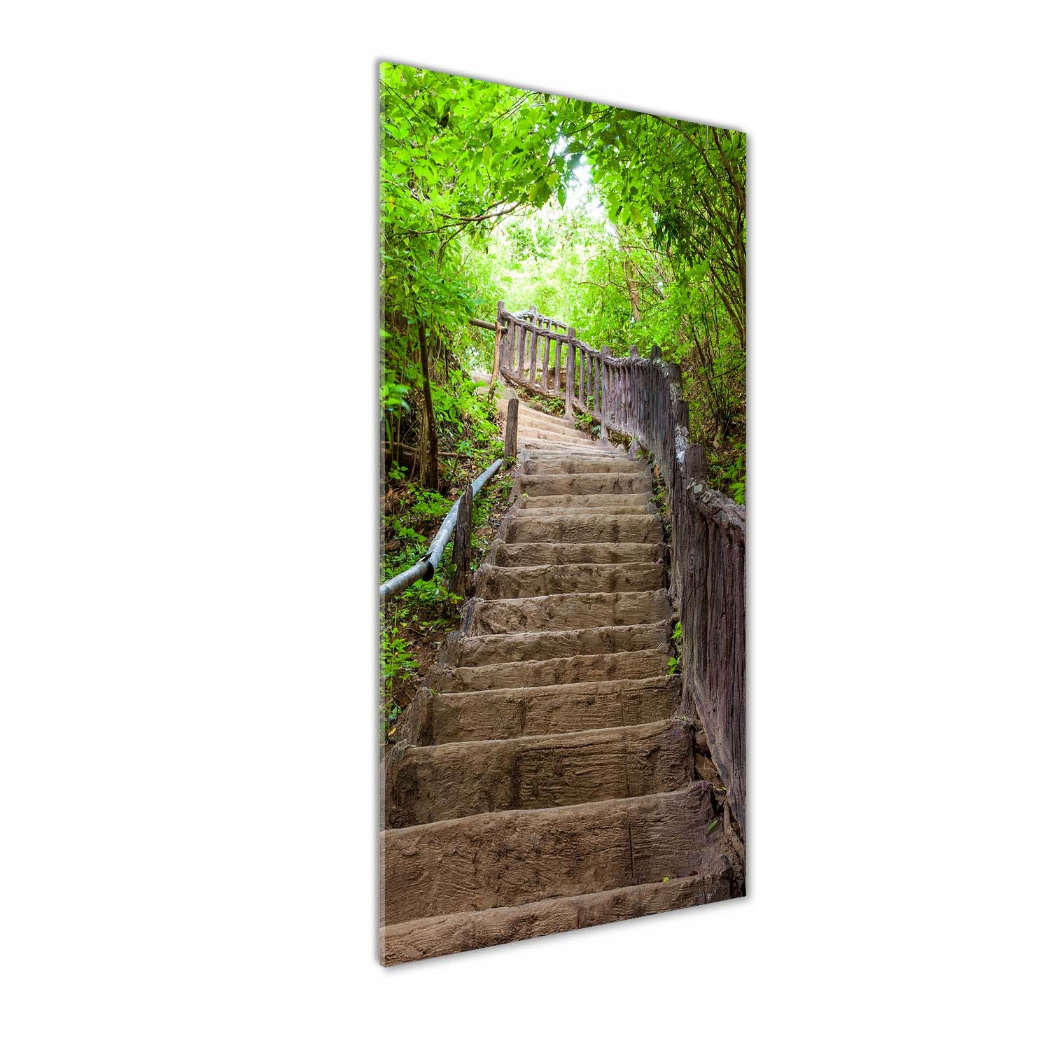 

Foto obraz akryl do salonu Schody w lesie 50x125cm