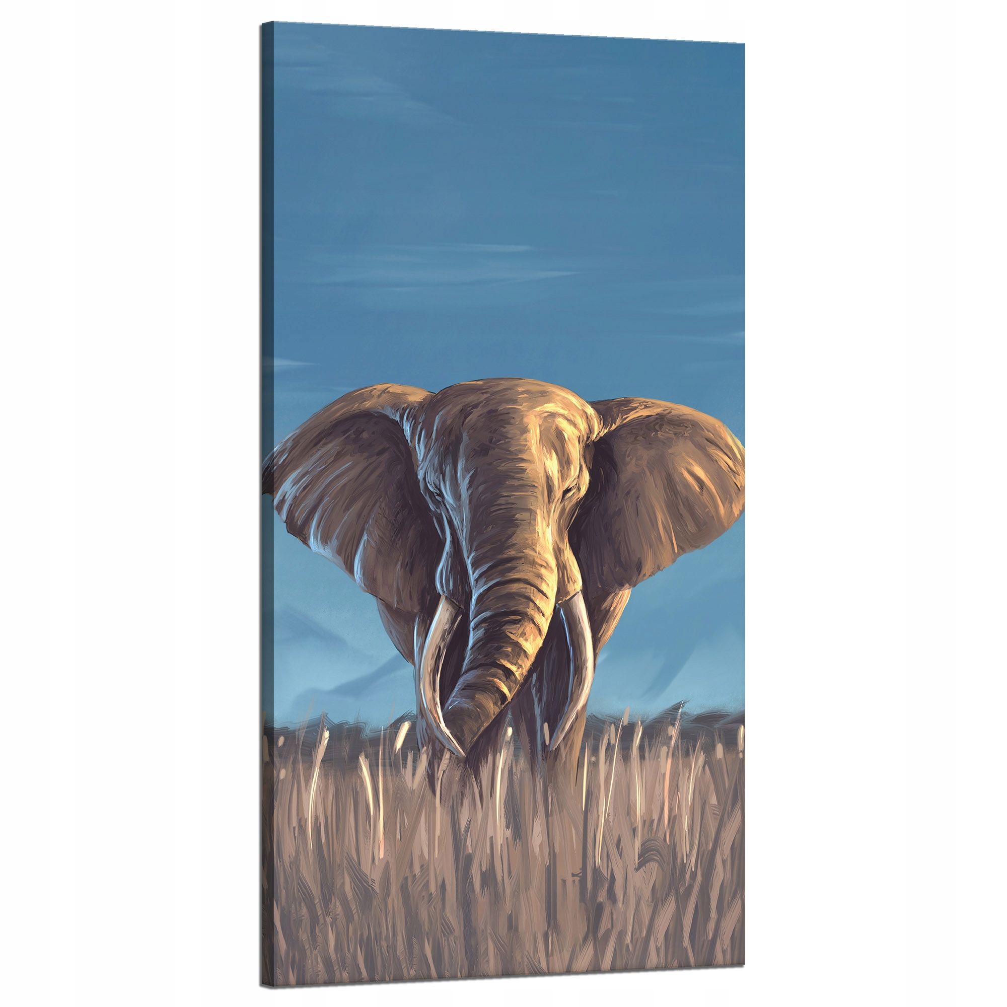 Obraz na plátně Olejomalba Šedý styl Velký slon 60x120 cm Ideální jako dárek