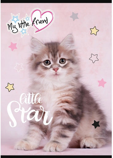 ZESZYT A5 16k LINIA KOLOROWA MY LITTLE FRIEND