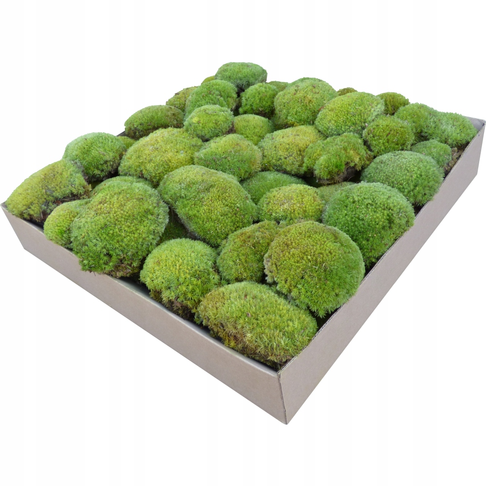 Polštářový Mech Premium Light Green 0,25 m2