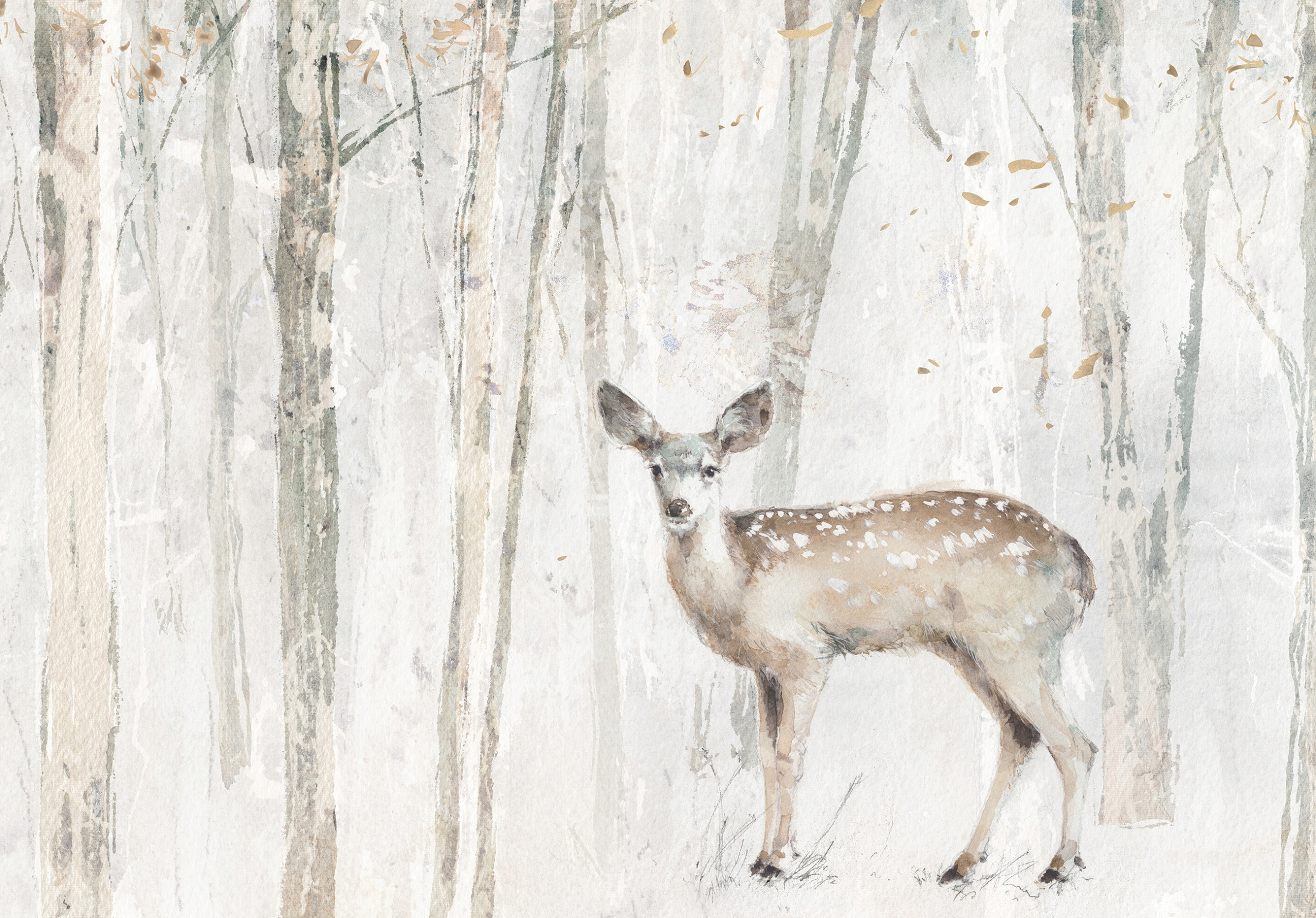 Fototapeta Jelen v mlhavém lese klidné ráno 416x290 vinylová lepidlo