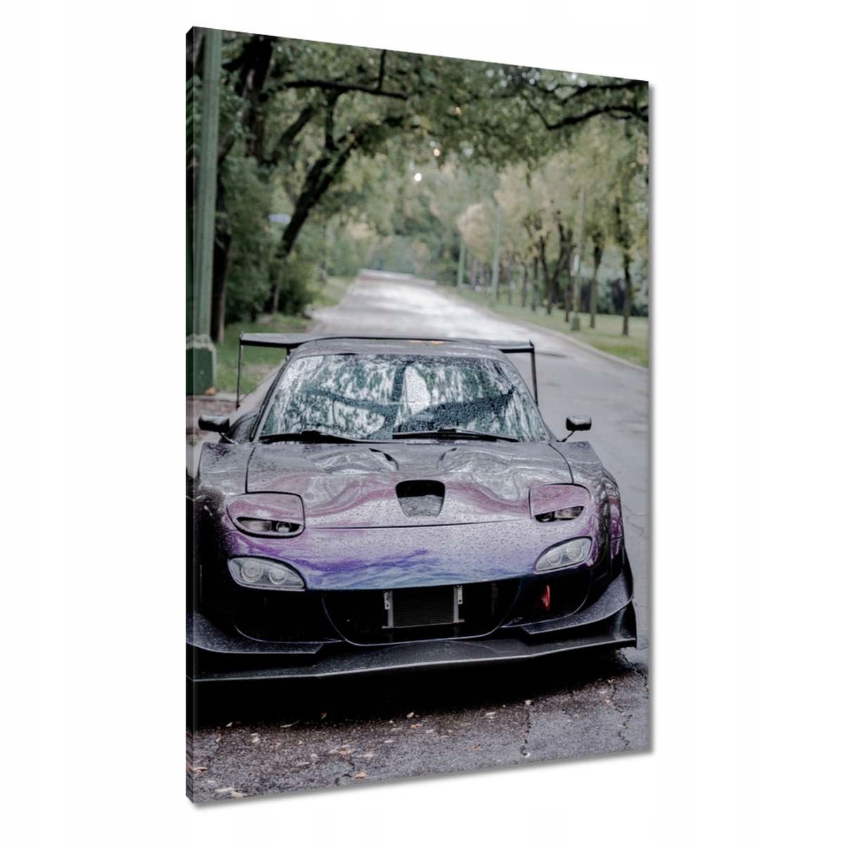 Obrazy 70x100 Auto Fura Sport