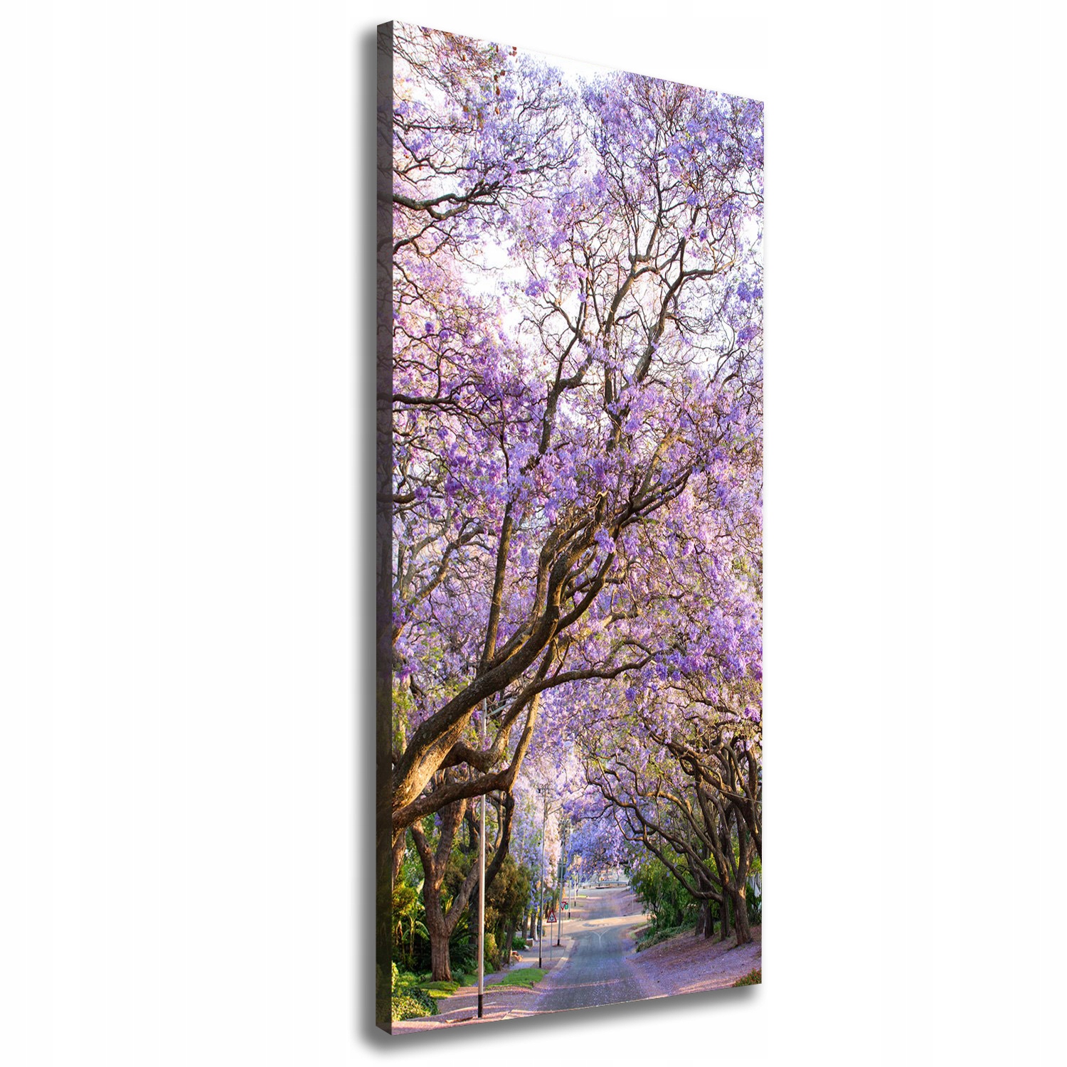 

Foto obraz na płótnie Ścieżka jakaranda 50x125 cm
