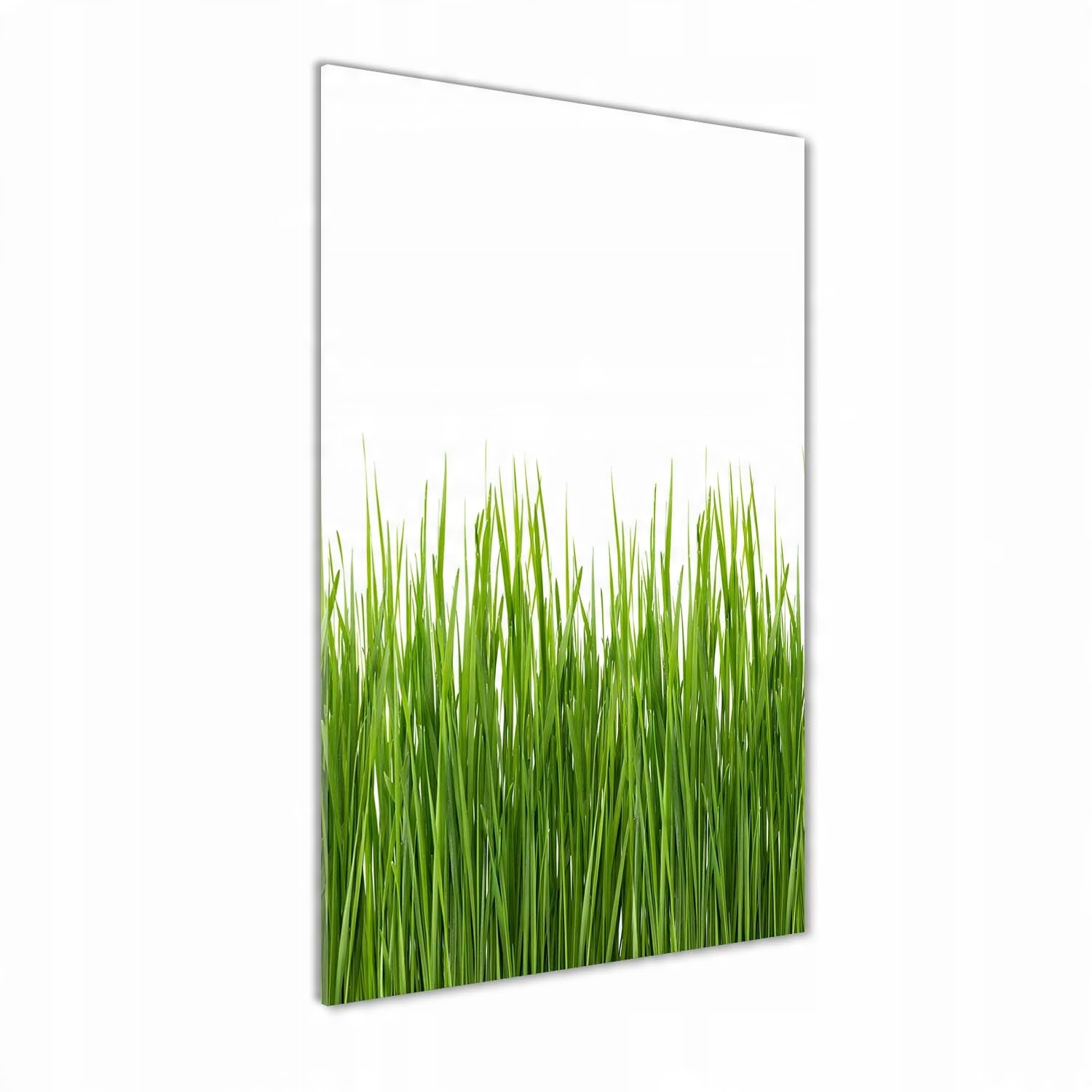 

Foto obraz szkło hartowane Zielona trawa 60x120 cm
