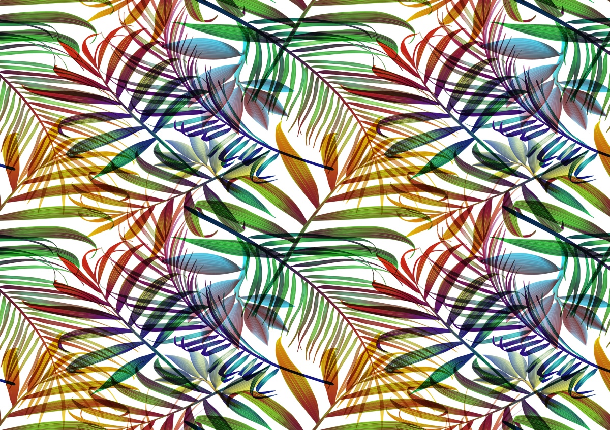 

Fototapeta Flizelinowa Liście palmy 312x219