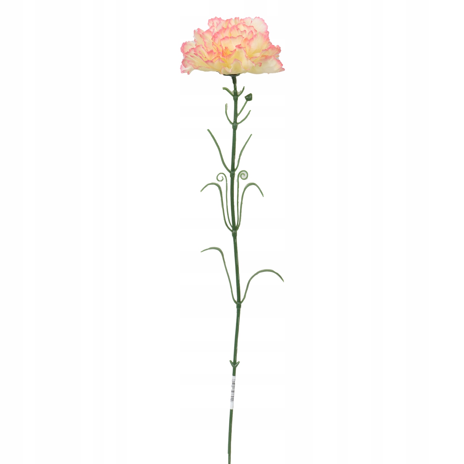 GOŹDZIK ŻÓŁTY CIENIOWANY Marka Goliat