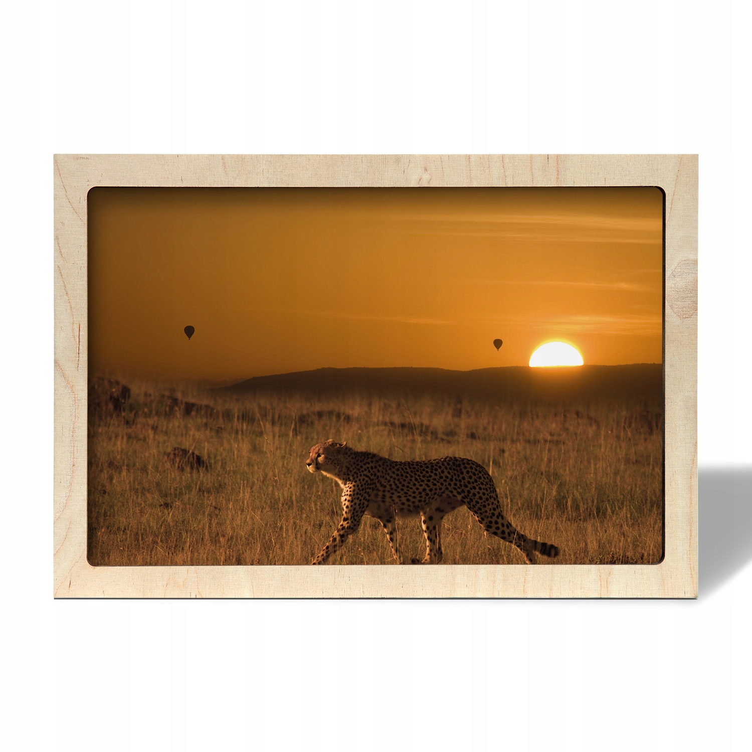 Fotoobraz na zeď Gepard západ polena 55x35