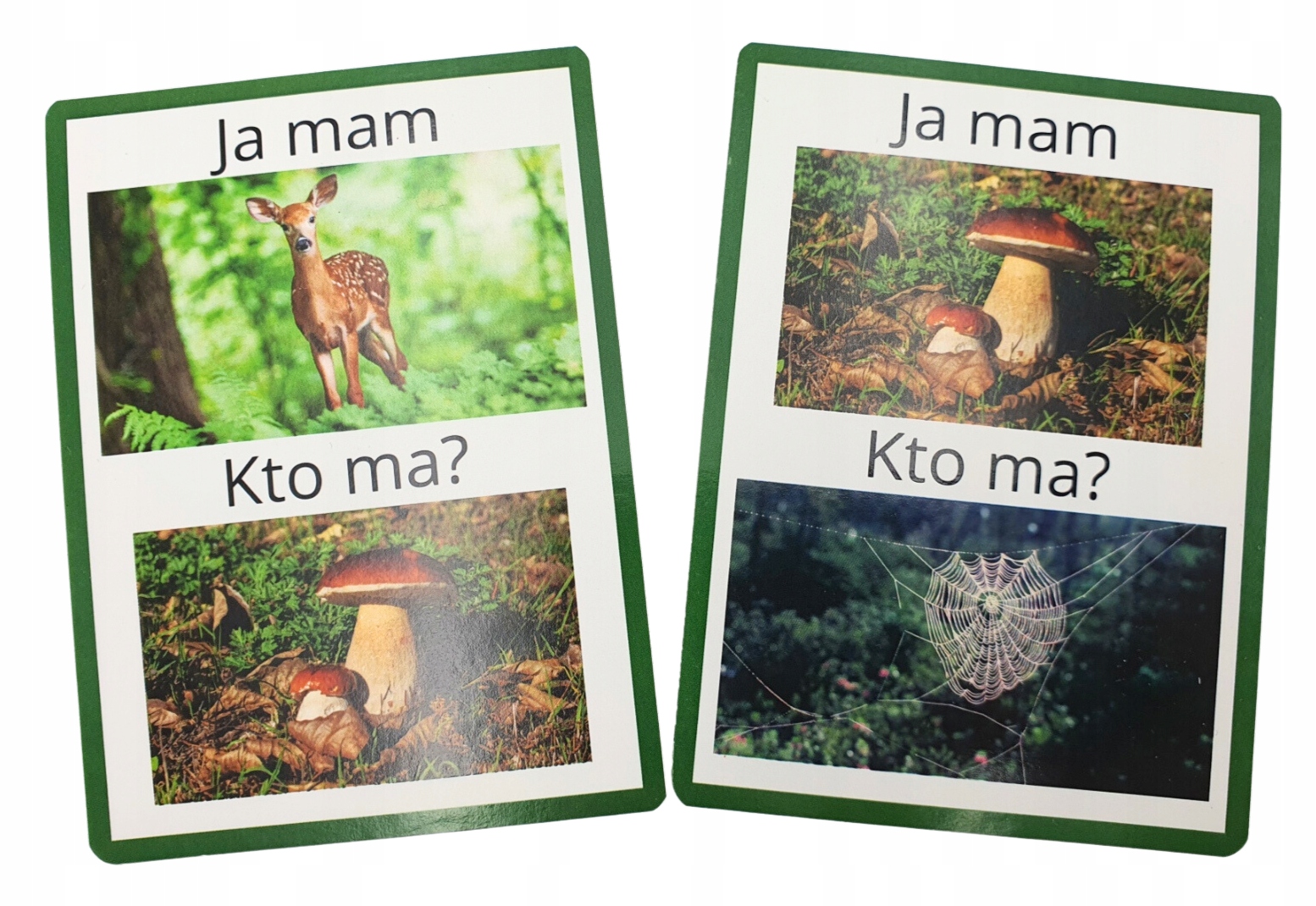Karty do gry JA MAM, KTO MA? W LESIE - Montessori
