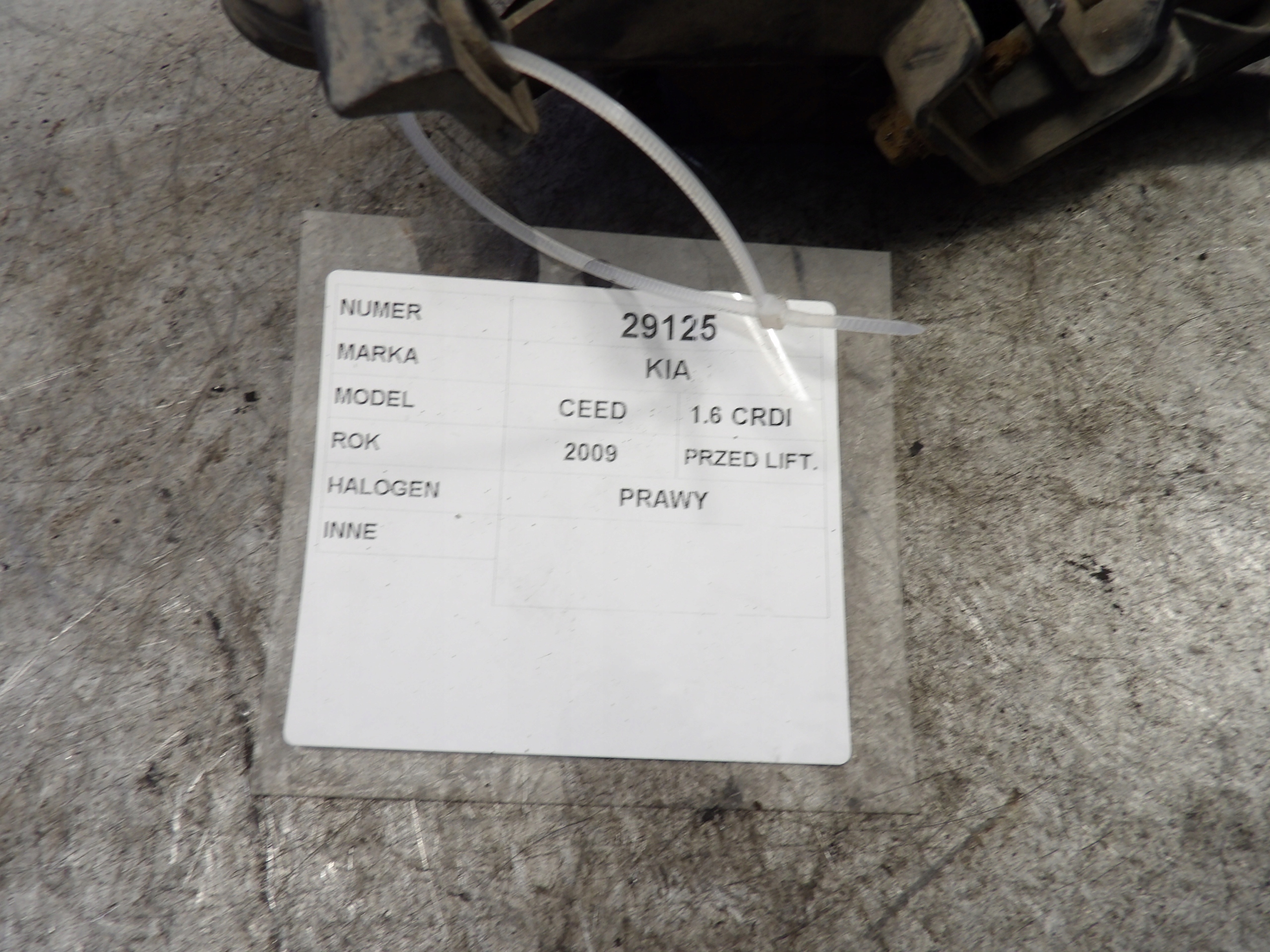 KIA Ceed e fendinebbia Destra PL02B12546