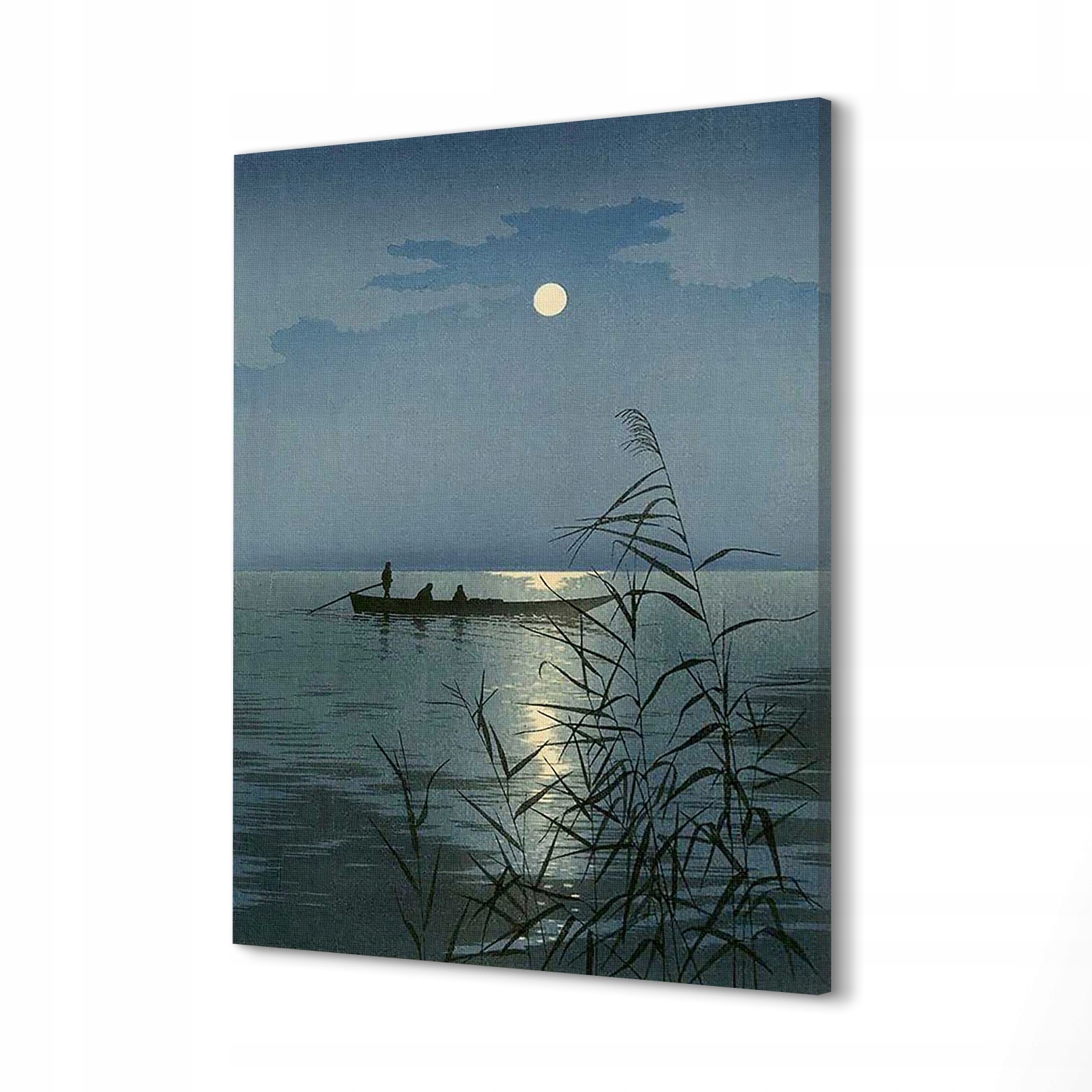 

Obraz canvas 60x80 Pełnia księżyca noc Koho Shody