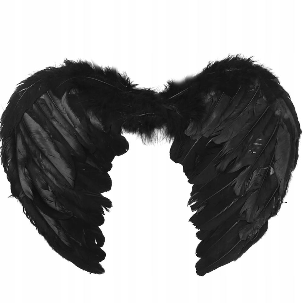 

Skrzydła Anioła Czarne Anielskie Pióra Anioł