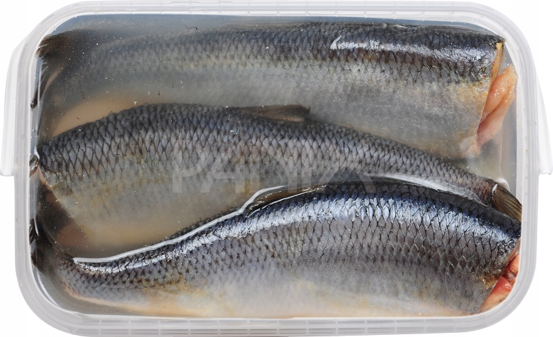 Śledź Solony Bez Głowy Ikra Mlecz 4kg Panix Wiadro