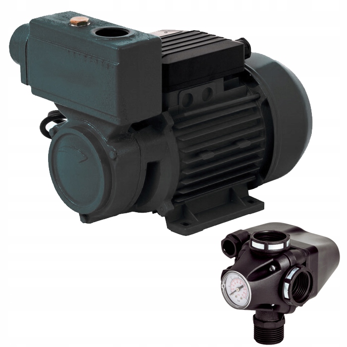 

Pompa Hydroforowa Ogrodowa WZ750 750W Z Osprzętem