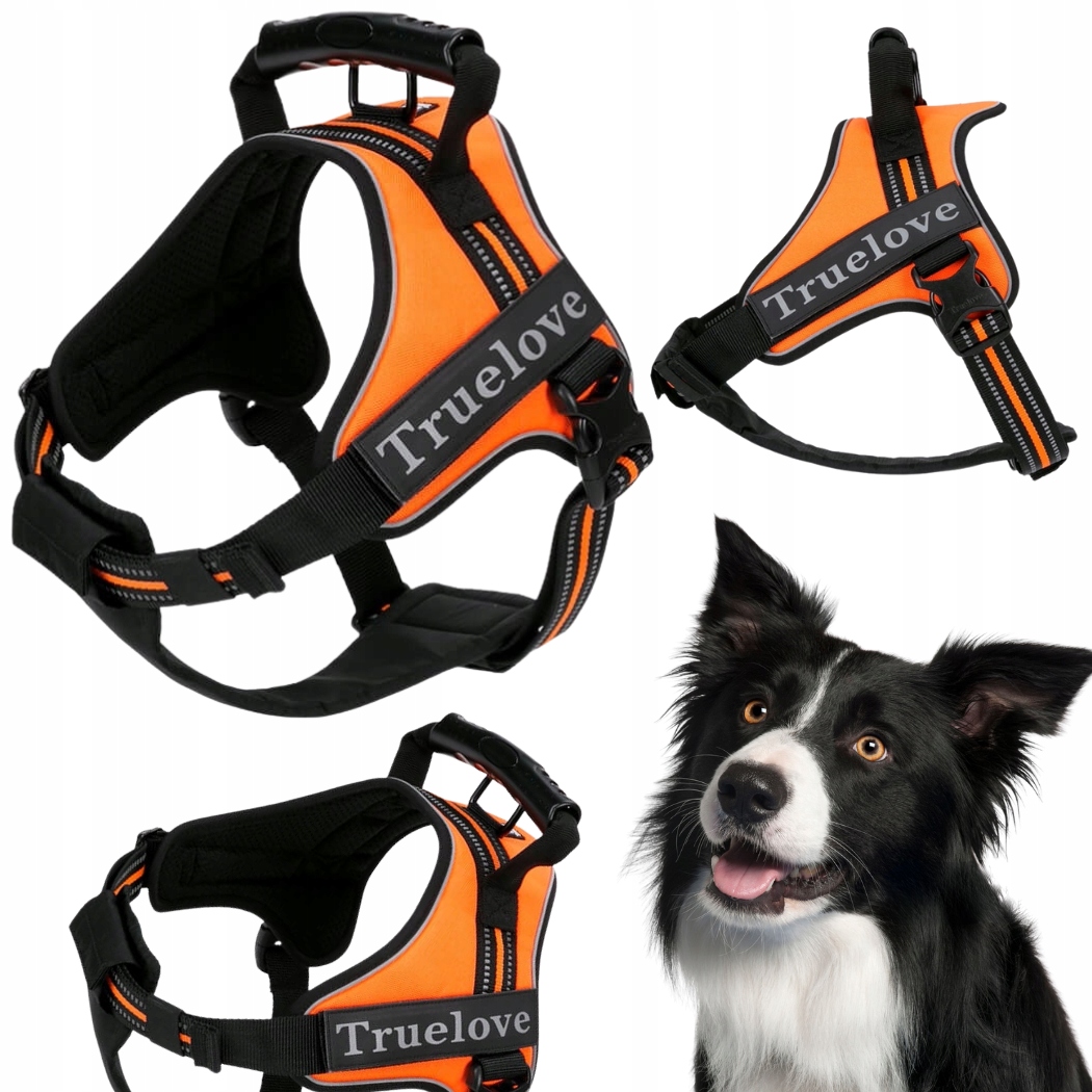 Levně Postroj Pro Psa Pracujícího S Rukojetí Truelove Outdoor Oranžový M