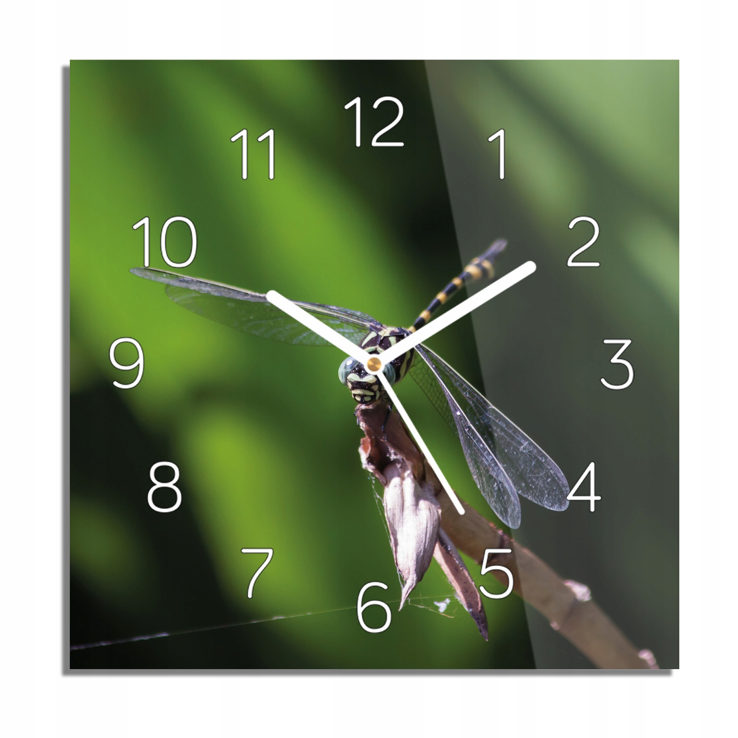 

Ważka owad kwiat foto-zegar na ścianę 30x30 z foto