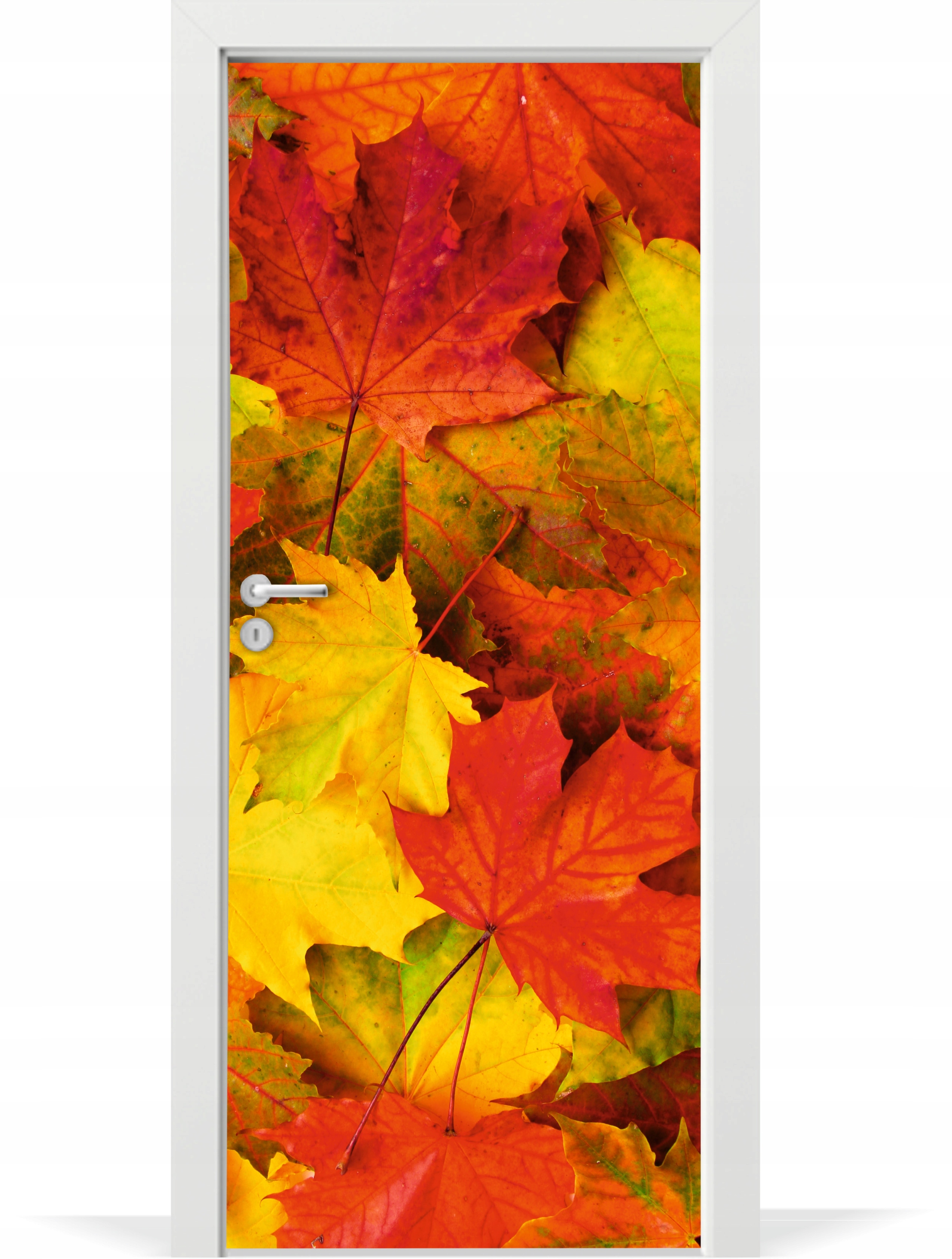 

Folia fototapeta na drzwi jesienne kolorowe liście