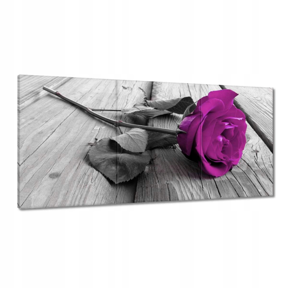 Obrazy 180x90 Fialová ruža