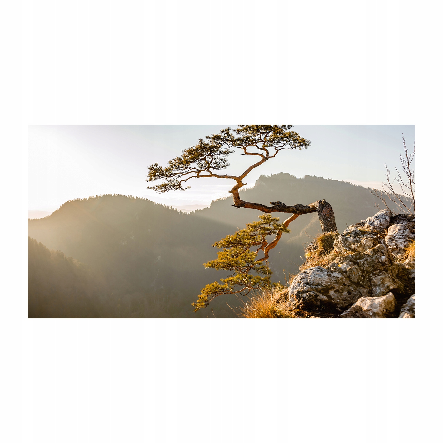 

Foto obraz szkło akryl Sokolica Pieniny 120X60 cm