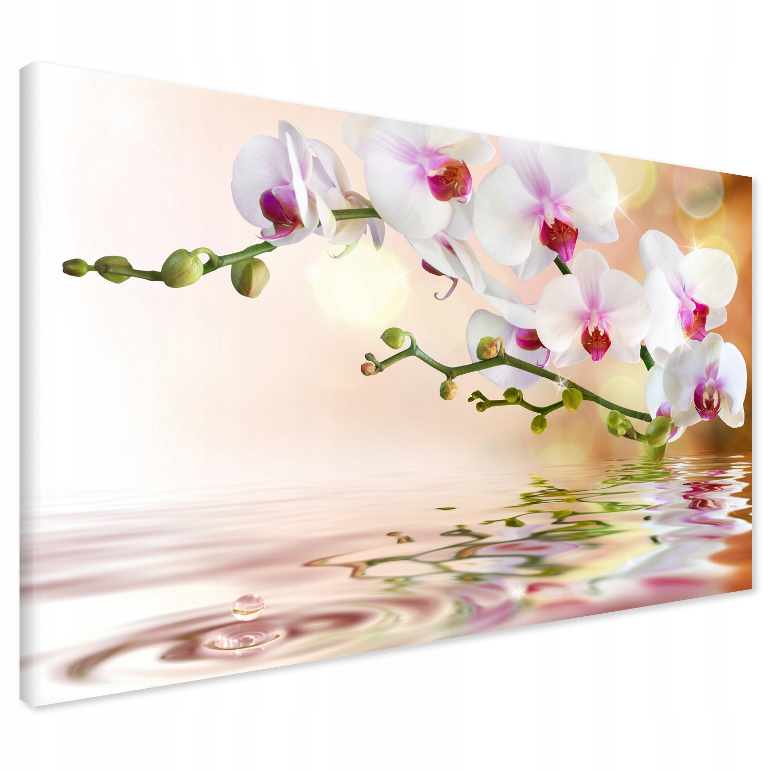 

Obraz na płótnie orchidea kwiaty 70x50
