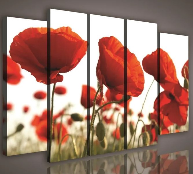Obraz 150x100 Maky červené pole kvetov leto príroda dekor steny