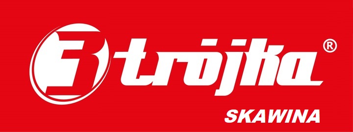 Gwoździe HARTOWANE do BETONU ocynk 3.5 x 50 mm 1KG Średnica 3.5 mm