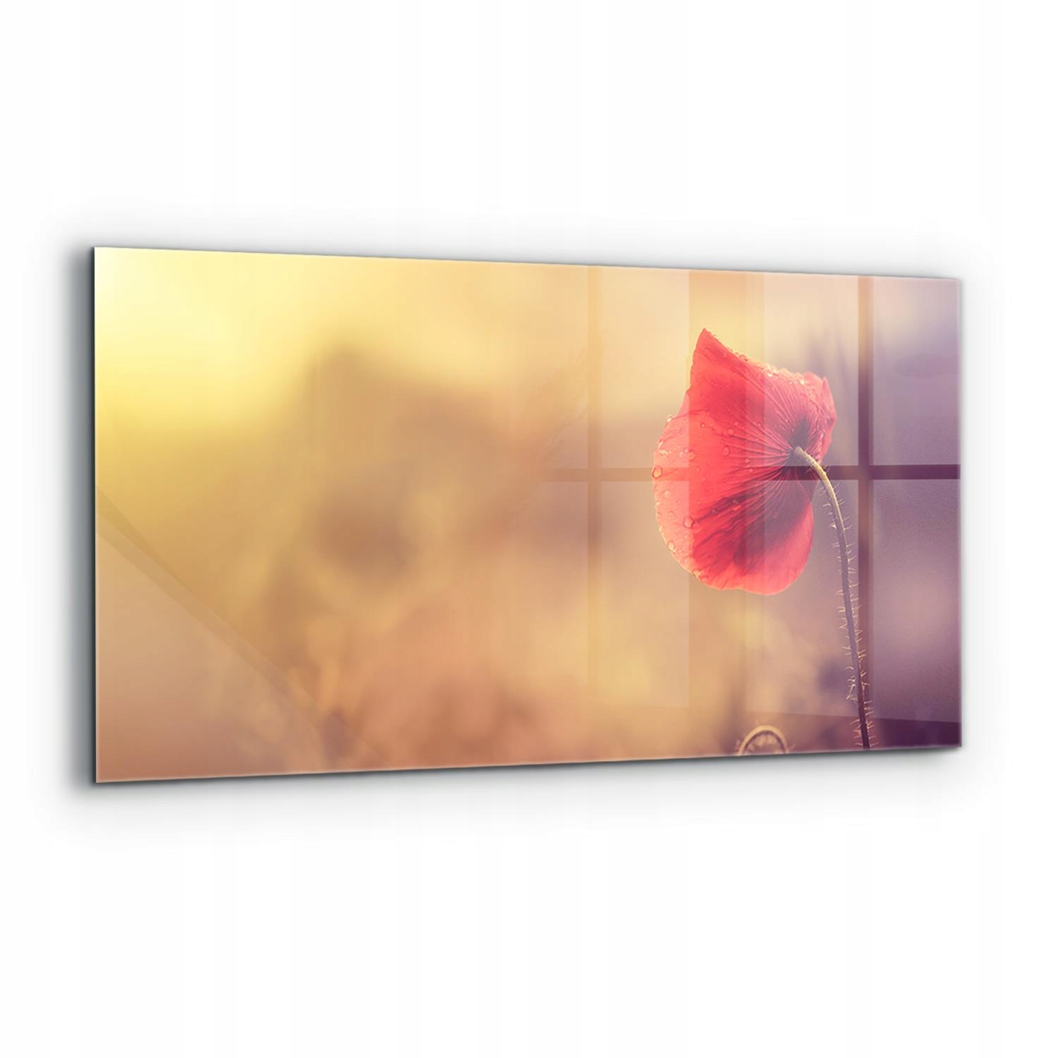 Kompletný panel lepidlo Vintage Mak Rastlina 120 x 60 cm