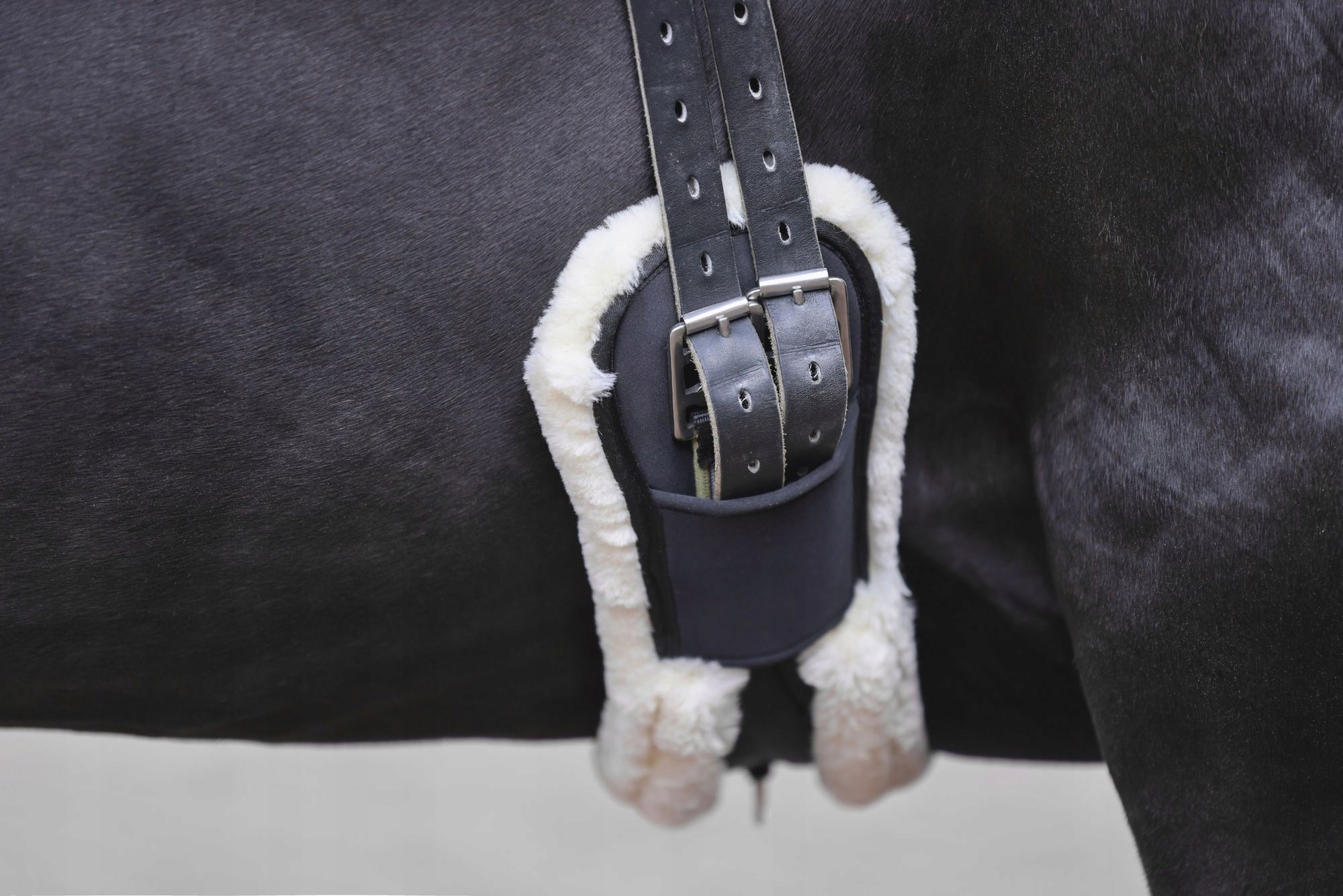 Popręg ujeżdżeniowy, 65 cm, ze sztucznym futrem, czarny, Covalliero Kod producenta 3224608