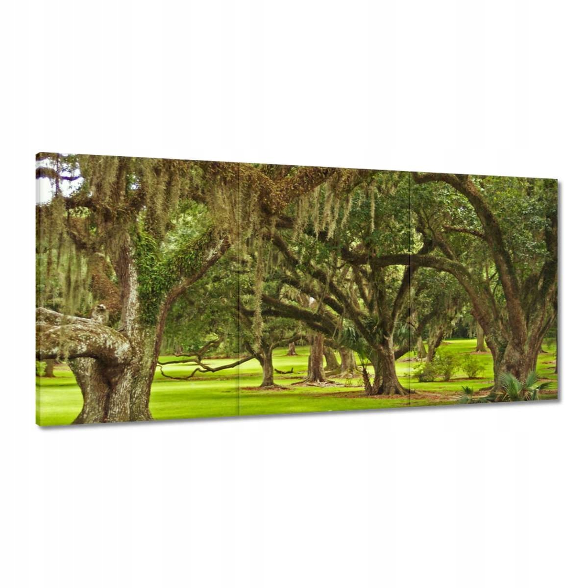 Obrazy 120x60 Park s duby