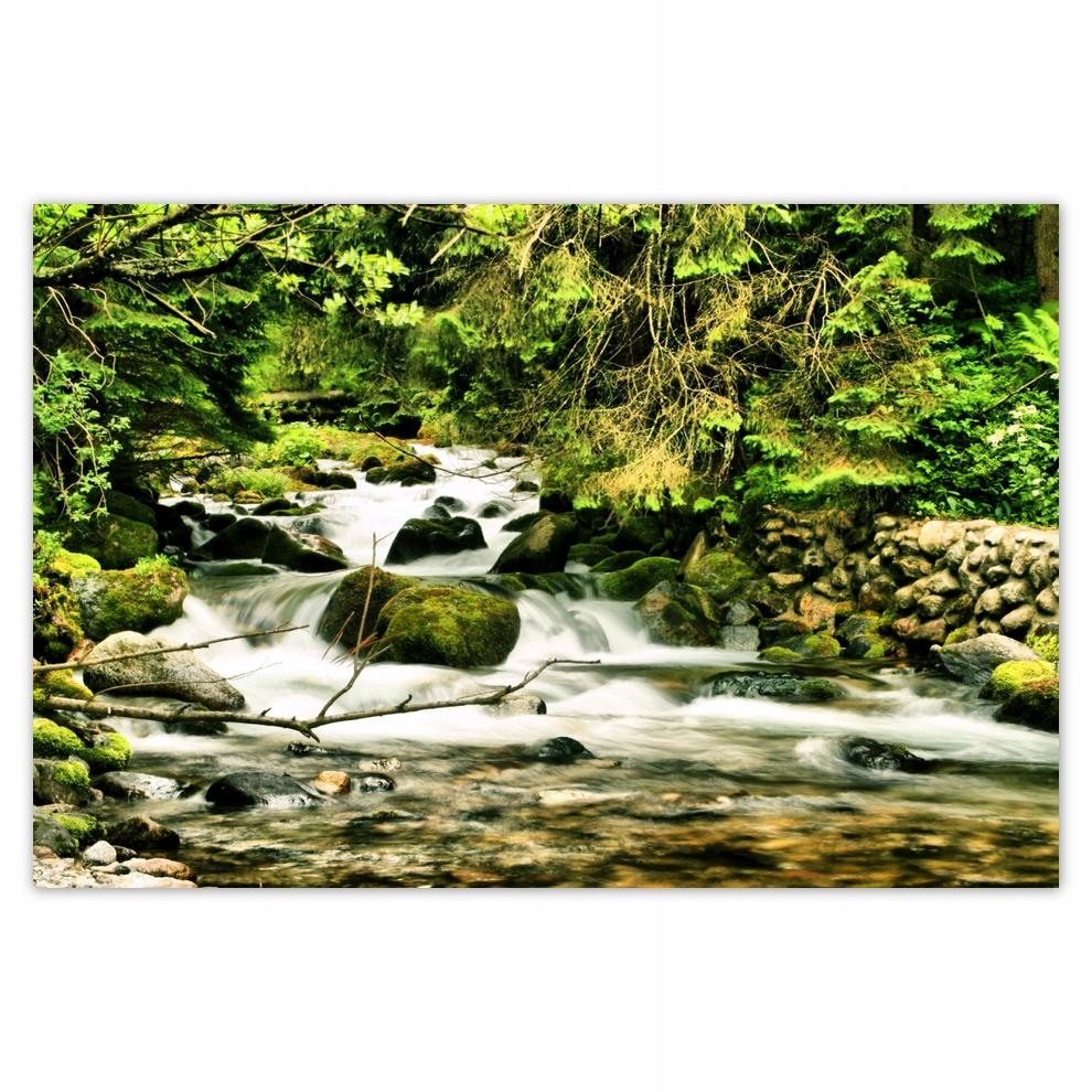 

Plakaty 60x40 Rzeczka w Tatrach
